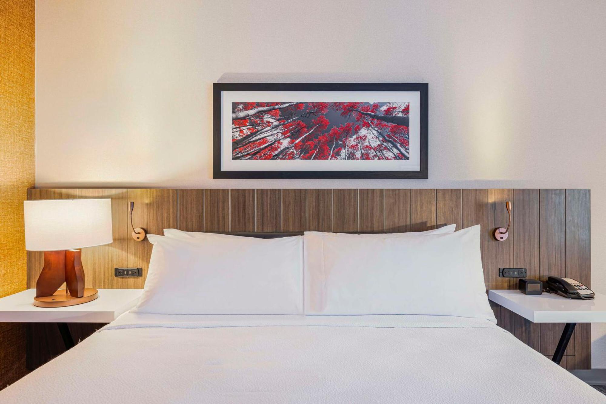 Hilton Garden Inn Colorado Springs Airport Екстериор снимка